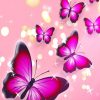 Hintergrund - Rosa Mit Pinkfarbenen Schmetterlingen (Mit innen Hintergrundbilder Blumen Und Schmetterlinge