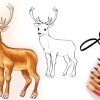 Hirsch Zeichnen Lernen 🦌 How To Draw A Deer 🦌 Как Се Рисува Елен 🦌  Animals Tiere Животни ganzes Reh Zeichnen