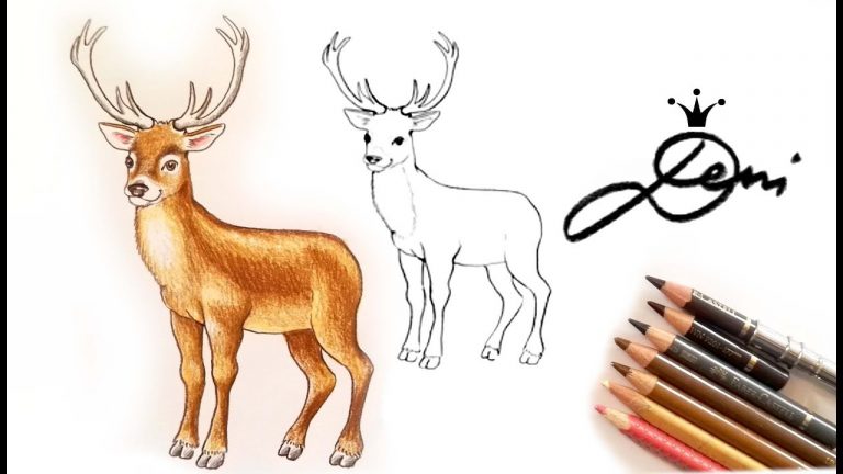 Reh Zeichnen - kinderbilder.download | kinderbilder.download