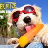 Hitze - Eis Essen | Coole Sprüche &amp; Bilder Für Den Sommer bei Sommerbilder Lustig