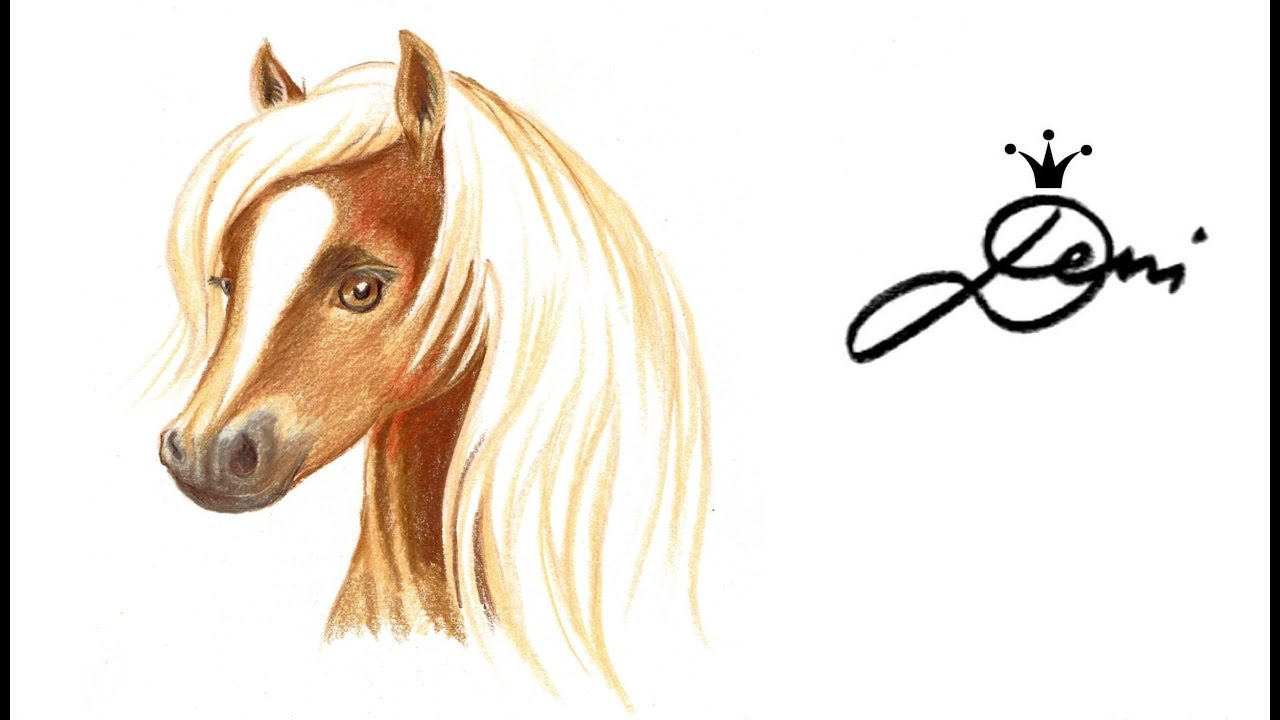 Horse Drawing 🐴 Pferd Zeichnen 🎨 Pferdekopf Malen 🐴 Рисува Кон ✏️  Haflinger Speeddrawing 马 über Pferdeköpfe Zeichnen