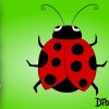 How To Draw A Ladybug — Wie Zeichnet Man Einen Marienkäfer ganzes Marienkäfer Selber Zeichnen