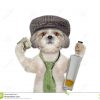Hund, Der Spaß Hat Und Alkohol Trinkt Stockfoto - Bild Von verwandt mit Was Passiert Wenn Hunde Alkohol Trinken