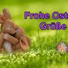 Ich Wünsche Dir Frohe Ostern – Ostergrüße Für Dich – Ostergruß Video Zum  Versenden Über Whatsapp bestimmt für Frohe Ostern Kostenlos