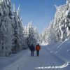 Ihr Winterurlaub Im Schwarzwald - Hotel Käppelehof bestimmt für Winterurlaub Im Schwarzwald Mit Kindern