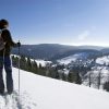 Ihr Winterurlaub Im Schwarzwald - Hotel Käppelehof für Winterurlaub Im Schwarzwald Mit Kindern