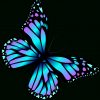 Image Result For Cartoon Bugs And Butterflies mit Schmetterlinge Clipart