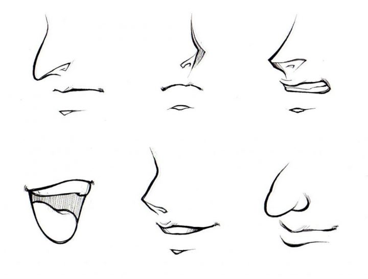 Image Result For How To Draw Noses Step By Step mit How To Draw Anime Nose Step By Step