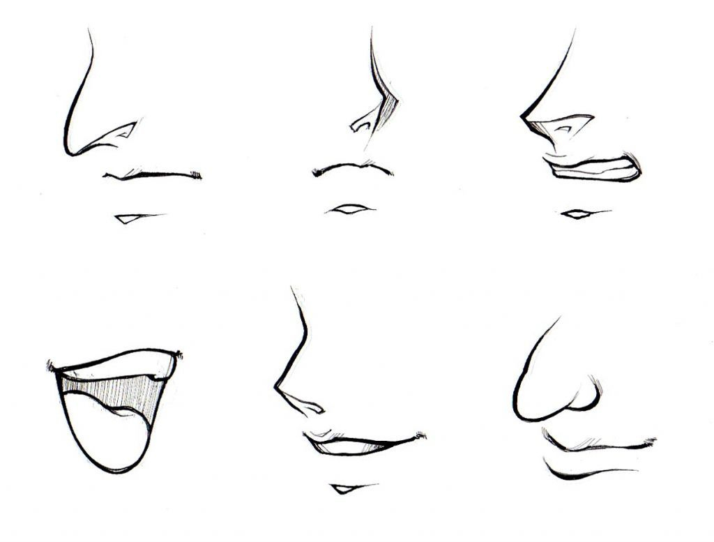 Image Result For How To Draw Noses Step By Step mit How To Draw Anime Nose Step By Step