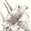 In 2020 | Blumen Zeichnen, Blumen Bleistiftzeichnungen für Bleistiftzeichnungen Blumen