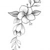 In 2020 (Mit Bildern) | Blumen Zeichnen, Blumen bei Bleistiftzeichnungen Blumen