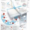 Infografik: Der Perfekte Gleiter (Mit Bildern) | Papier verwandt mit Papierflieger Bauanleitung Zum Ausdrucken