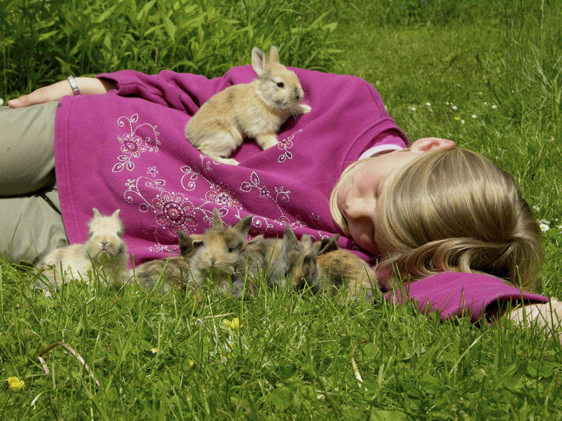 Kaninchen Sind Ideale Haustiere Für Kinder ganzes Kaninchen Als Haustier Was Muss Man Beachten