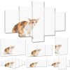 Kätzchen: Mehr Als 2000 Angebote, Fotos, Preise ✓ - Seite 19 bestimmt für Rosina Wachtmeister Katzen Malvorlagen