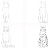 Katze Zeichnen Lernen - 5 Schritt Anleitung Für Schöne Katzen innen Katzengesicht Zeichnen