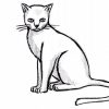 Katze Zeichnen Lernen - Übung Mit Einfachen Formen [Video] ganzes Katze Zeichnen Lernen