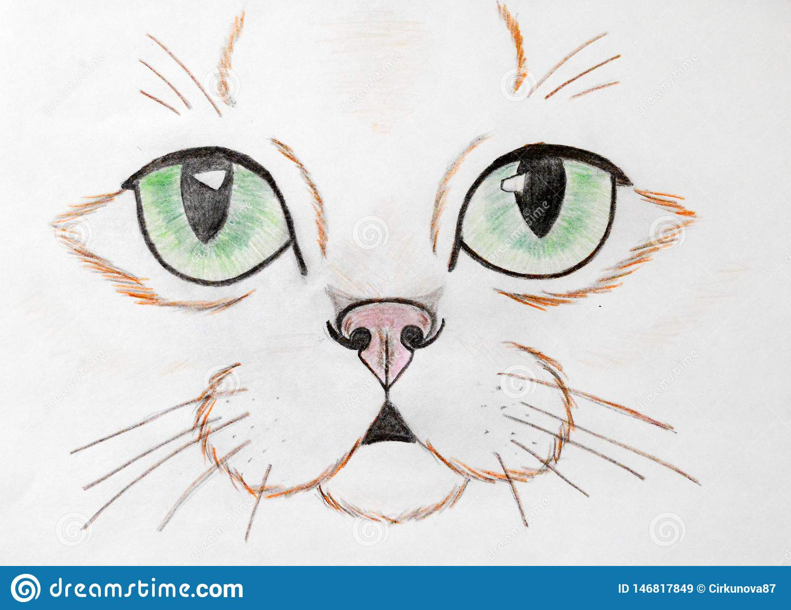 Katzengesicht Gemalt Mit Farbigen Bleistiften Stock ganzes Katzengesicht Zeichnen