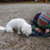Kindergarten Hund Vito - Schwemmlein-Kigas Webseite! innen Einfluss Von Tieren Auf Die Kindliche Entwicklung