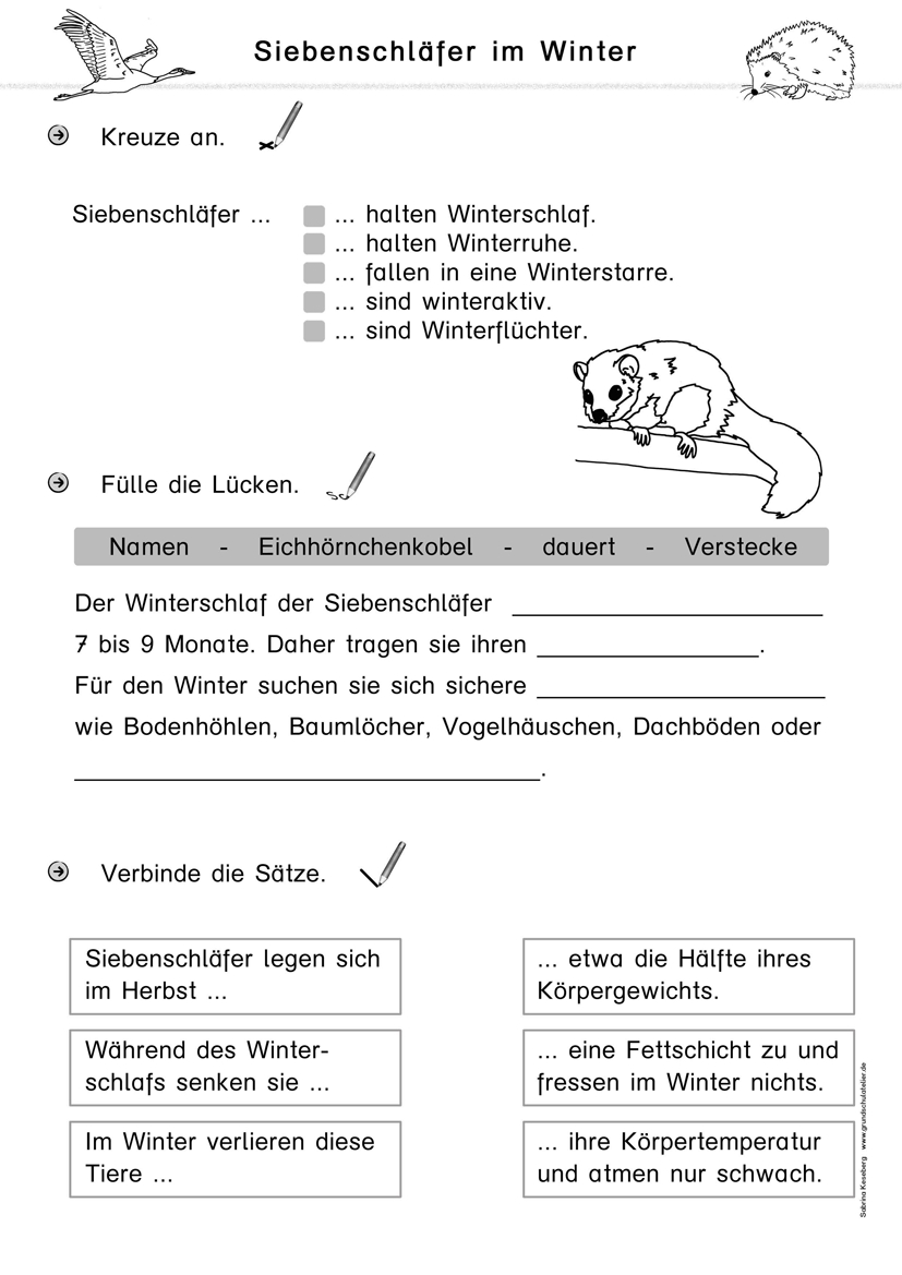 Deutsch Für Anfänger Arbeitsblätter Kostenlos - kinderbilder.download