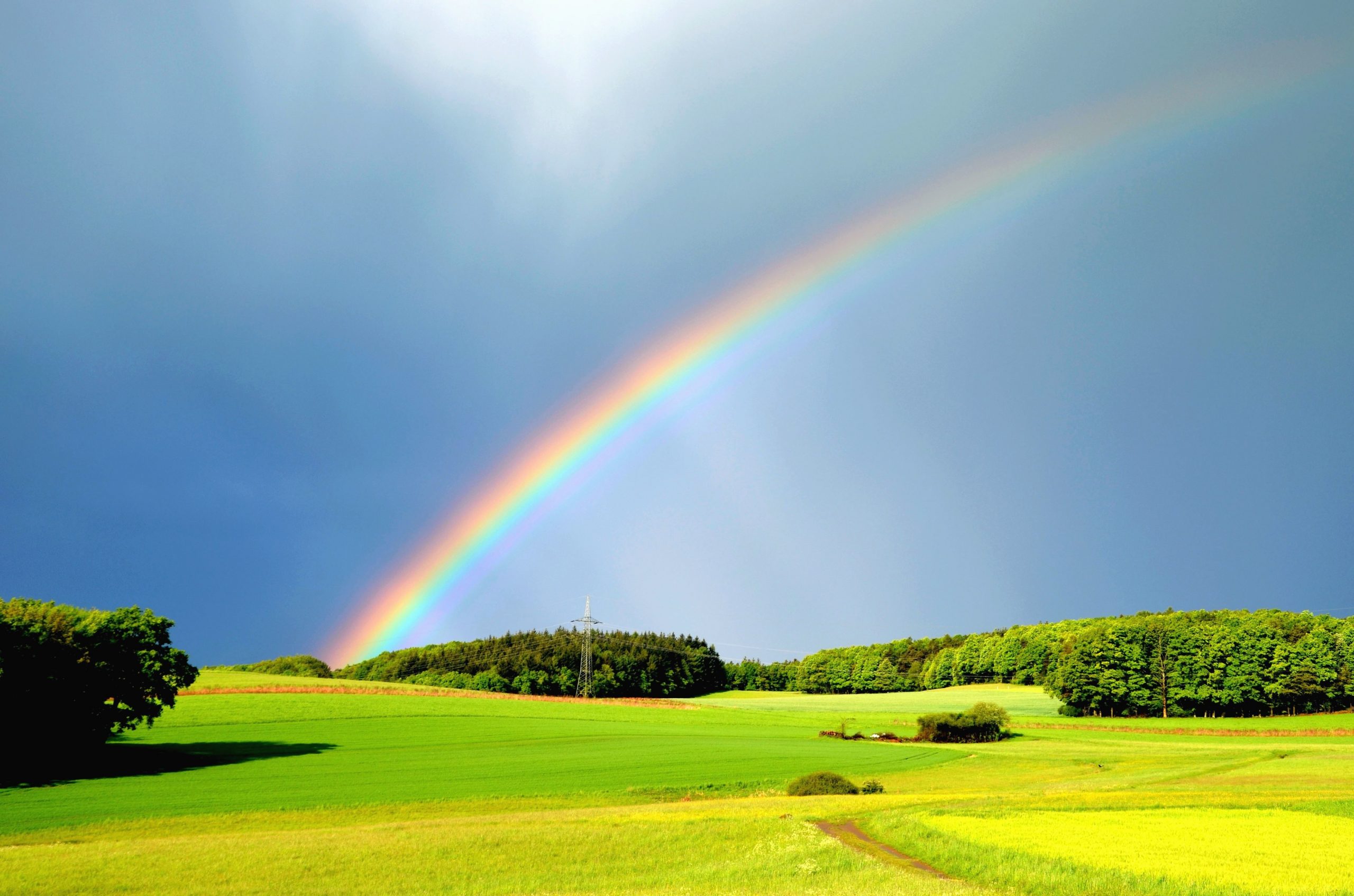 Kostenlose Bild: Regen, Regenbogen, Wiese, Wald, Colorfull über Regenbogen Bilder Kostenlos