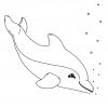 Kostenlose Malvorlage Delfine Und Wale: Ausmalbild Delfin bestimmt für Delfin Malvorlage