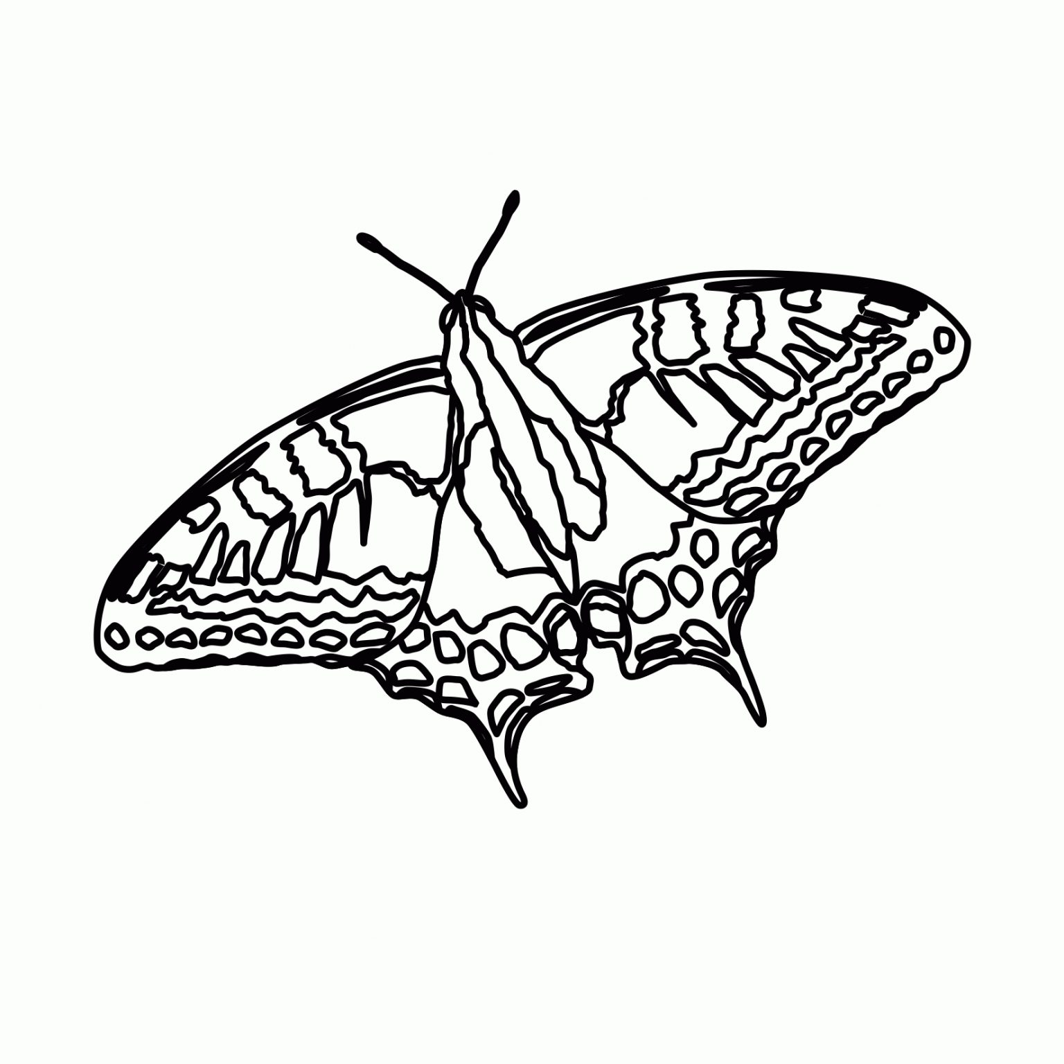 Kostenlose Malvorlagen Zum Ausdrucken Marienkäfer Und mit Window Color