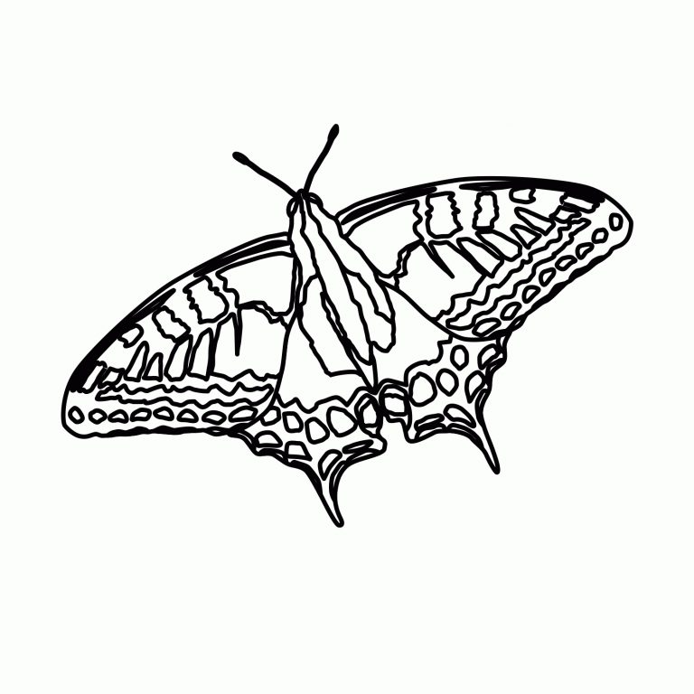 Kostenlose Malvorlagen Zum Ausdrucken Marienkäfer Und mit Window Color