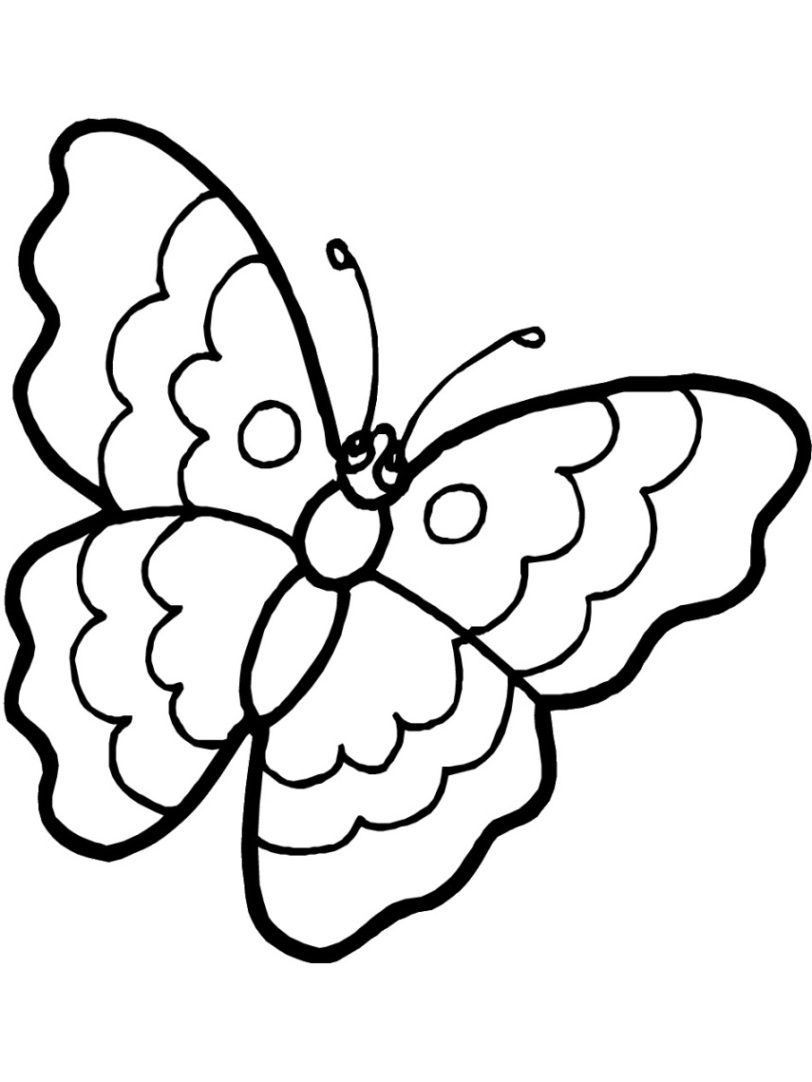 Kostenlose Malvorlagen Zum Ausdrucken Marienkäfer Und mit Window Color Schmetterling