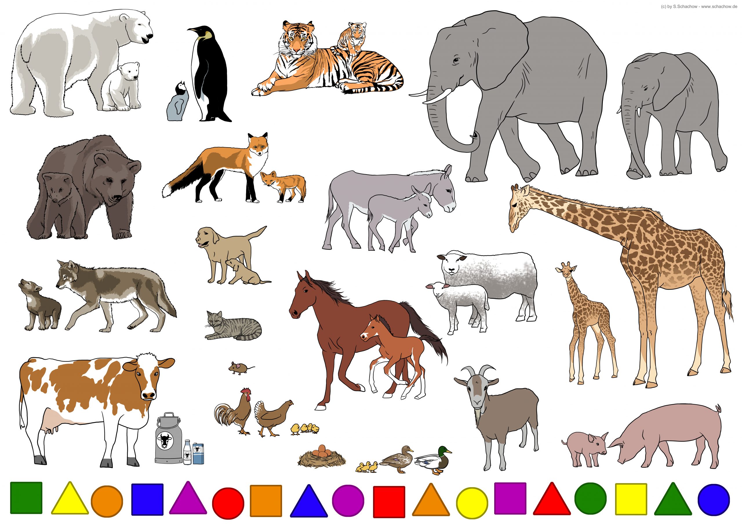 Kostenlose Zeichnungen Von Tieren - Poster, Bilder &amp; Pdf in Tierbilder Download