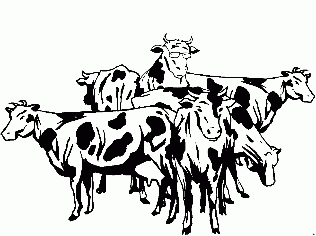 Стадо коров на белом фоне