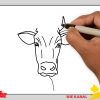 Kuh (Gesicht) Zeichnen Schritt Für Schritt Für Anfänger &amp; Kinder - Zeichnen  Lernen ganzes Kuh Malen