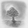 Laub - Baum - Zeichnen Lernen - Zeichenkurs verwandt mit Wie Kann Ich Zeichnen Lernen