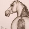 Lieferumfang: | Pferde Zeichnen, Zeichnungen, Großartige innen Pferde Malen Für Anfänger