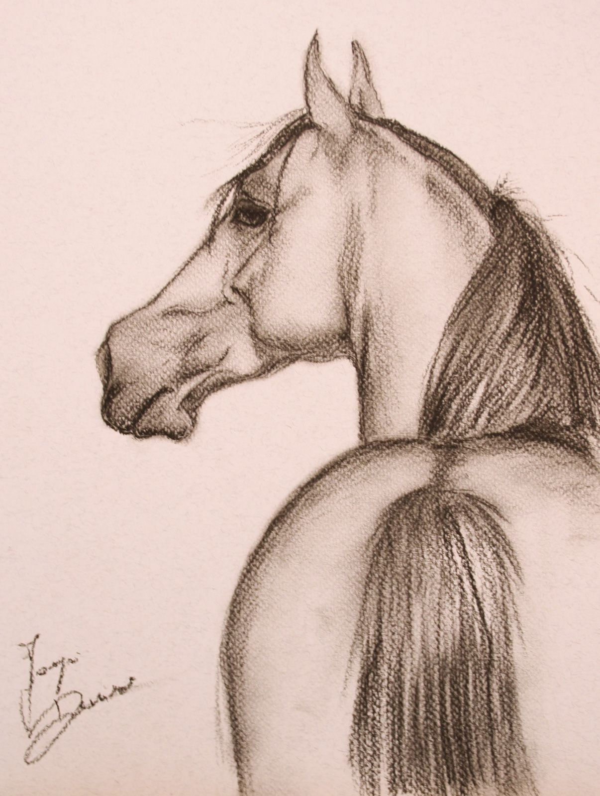 Lieferumfang: | Pferde Zeichnen, Zeichnungen, Großartige innen Pferde Malen Für Anfänger