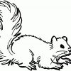 Liegendes Eichhoernchen Ausmalbild &amp; Malvorlage (Tiere) bei Eichhörnchen Malvorlage