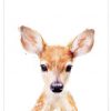 Little Deer (Mit Bildern) | Tierkunst, Zeichnungen mit Reh Zeichnen