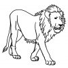 Löwe Ausmalbilder Kostenlose | Löwen Bilder, Ausmalbild Löwe innen Malvorlage Löwe