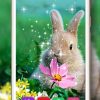 Lustige Hasen Live Wallpaper Für Android - Apk Herunterladen verwandt mit Lustige Hasen Bilder Kostenlos