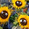 Lustige Sonnenblumen | Blumen, Sonnenblumen, Bilder in Lustige Blumenbilder