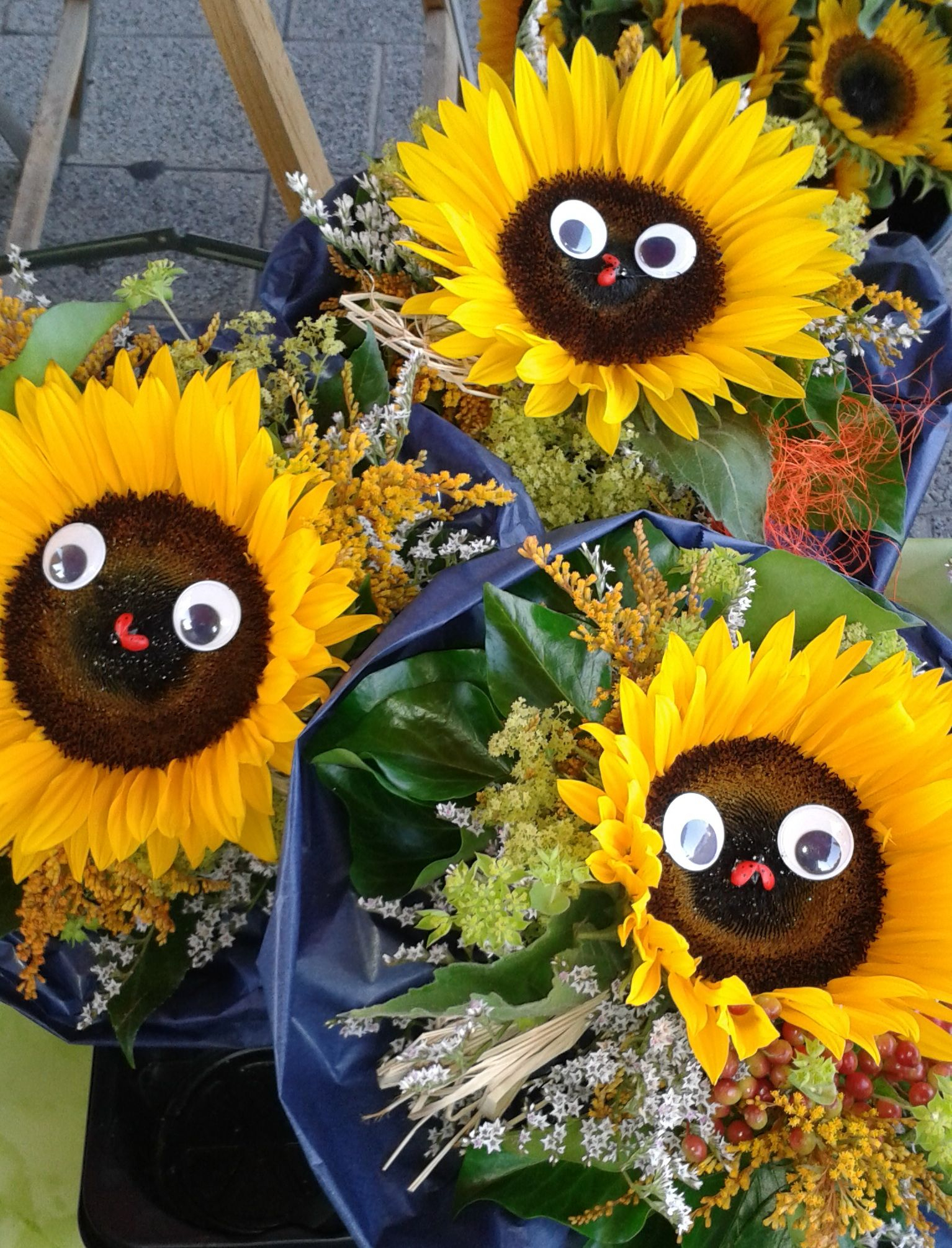 Lustige Sonnenblumen | Blumen, Sonnenblumen, Bilder in Lustige Blumenbilder