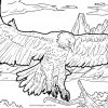 Malvorlage Adler | Tiere - Ausmalbilder Kostenlos Herunterladen verwandt mit Ausmalbilder Adler