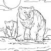 Malvorlage Bär | Tiere - Ausmalbilder Kostenlos Herunterladen innen Bären Bilder Zum Ausdrucken