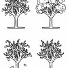 Malvorlage Baum 4 Jahreszeiten | Pflanzen - Ausmalbilder bestimmt für Malvorlagen Baum