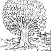 Malvorlage Baum - Ausmalbilder Kostenlos Herunterladen mit Malvorlage Baum