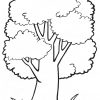 Malvorlage Baum Des Lebens - 1Ausmalbilder innen Malvorlagen Baum