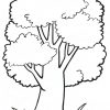 Malvorlage Baum Kostenlos | Baum Zeichnung, Baummalerei bestimmt für Malvorlagen Bäume Zum Ausdrucken