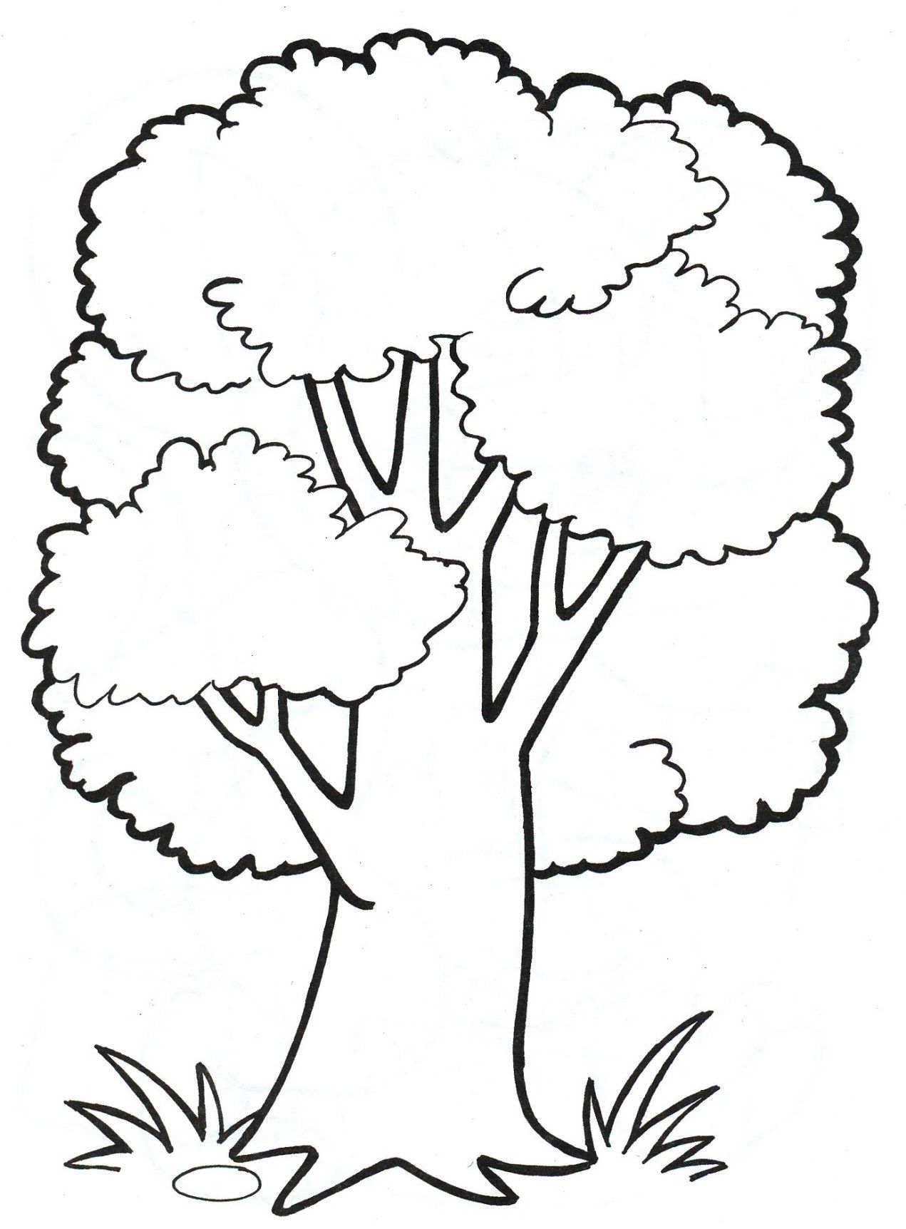 Malvorlage Baum Kostenlos | Baum Zeichnung, Baummalerei ganzes Malvorlage Baum