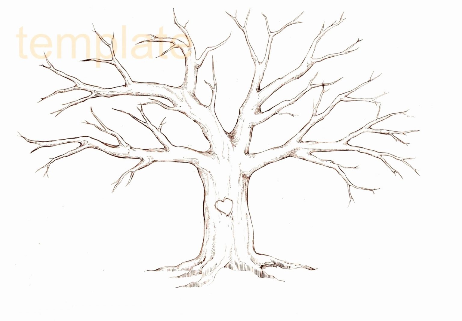 Malvorlage Baum Mit Ästen - kinderbilder.download | kinderbilder.download