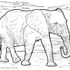 Malvorlage Elefant | Tiere - Ausmalbilder Kostenlos für Elefanten Malvorlagen