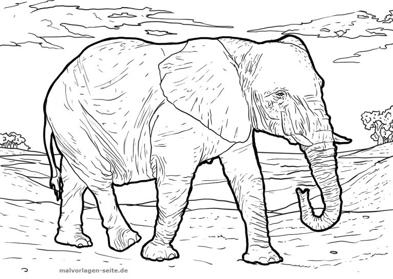 malvorlage elefant  kinderbilderdownload  kinderbilder
